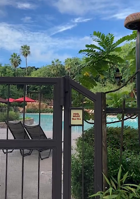 アニマルキングダム フロリダディズニー WDW プール